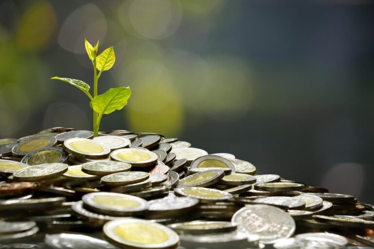 Leia mais sobre o artigo Investir com inteligência financeira: o guia completo para iniciantes